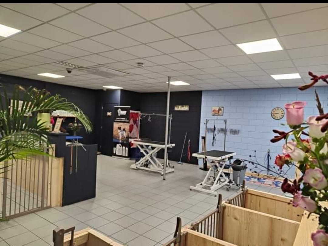 Trimsalon Almere Trimsalon Almere